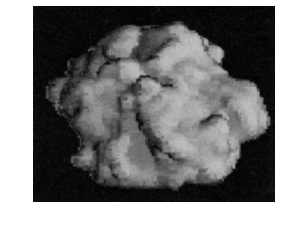 eLXg {bNX: ZǊ

